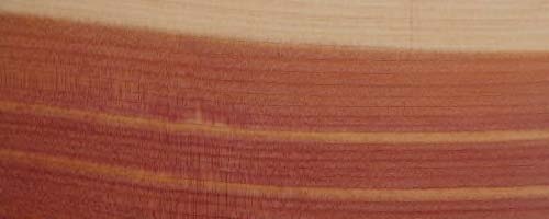 Florida pencil Cedar – Juniperus virginiana USA